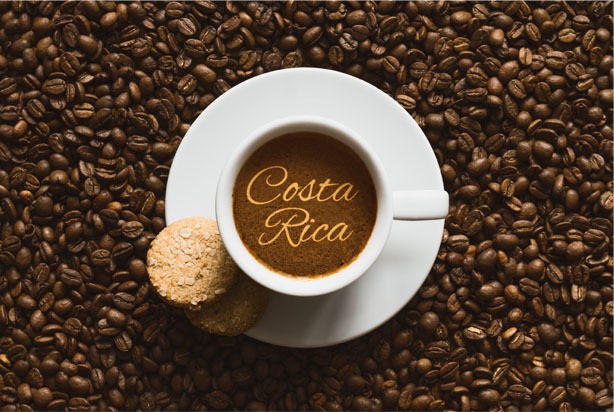 Costa Rica's coffee