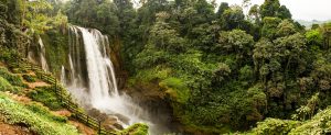 Hondura's waterfalls